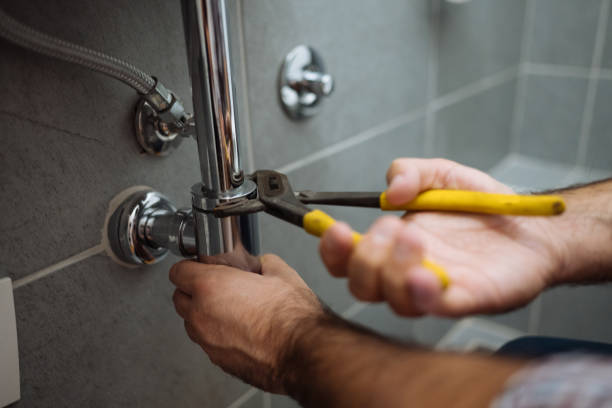 Best Affordable Plumbing Services  in Newberry, MI